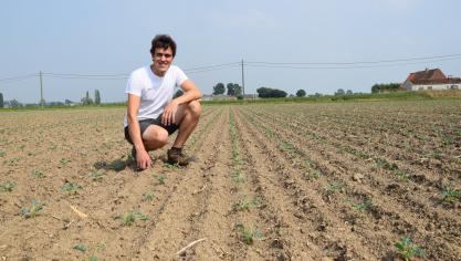 Dat zijn tractor recht kan rijden, bewijst de mooie lijn plantjes.