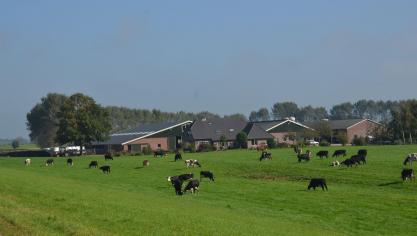 Farm Neth