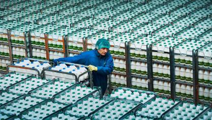 Arla zet in op een brede productenportefeuille waarin consumentenmerken een belangrijke rol spelen.