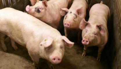 De sector hoopt op Vlaamse steunmaatregelen.