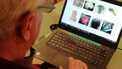 Een website en e-shop horen meer en meer bij de hoeveverkoop.
