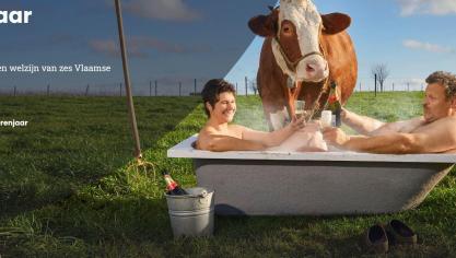 Boerenjaar vertelt het dagdagelijks leven op Vlaamse landbouwbedrijven.