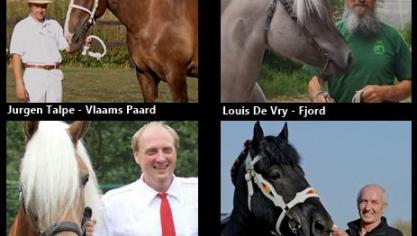 paarden