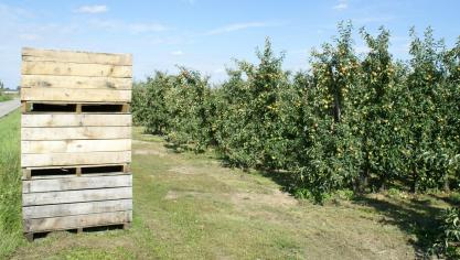Procentueel doen vooral fruittelers een beroep op de nieuwe, brede weersverzekering.