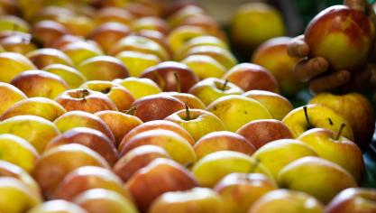 Chinezen zijn niet alleen verlekkerd op Belgisch varkensvlees, ook op zuivelproducten, rundsvlees en appelen.