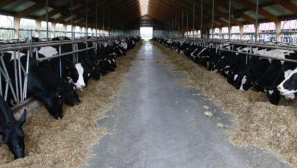 Er moet een discussie gevoerd worden, maar mét de sector en niet óver de sector heen.