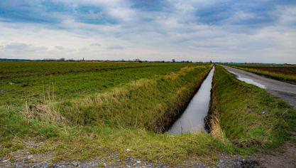 DSC_1609 bords d