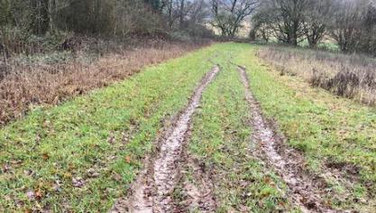 De Vlaamse Landmaatschappij wil wandelaars, moutainbikers, jagers en anderen dus oproepen om geen grasstroken te betreden, tenzij er een aangeduid wandelpad ligt.