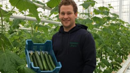 Zoals vorig jaar werden de primeurkomkommers vandaag aangeboden door Jasper Haghedooren uit Westrozebeke.