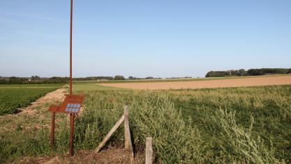 Beleef meer in de Vlaamse Ardennen is 1 van de 9 goedgekeurde plattelandsprojecten in het kader van LEADER.