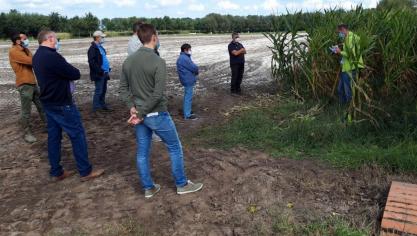 In Vlaanderen wordt het inzicht alsmaar groter dat een goede bodemkwaliteit ontzettend belangrijk is. Er lopen al projecten rond koolstopopslag.