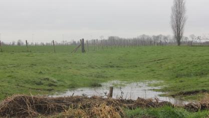 Een pact tussen Natuurpunt en de windlobby verhoogt de druk op agrarisch gebied!