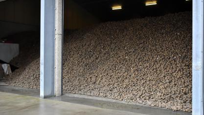 Omdat de loods voor minstens 48 uur gesloten zal blijven, check je het best ook de producttemperatuur voor de start.