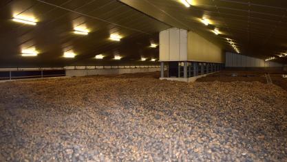 aardappelloods binnen 3_JeroenMorel