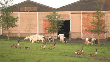 wisselwerking landbouw en natuur Vlaams-Brabalnt