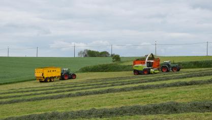De afgelopen 5 jaar werd de grens - een temperatuursom 250 à 300 - bereikt tussen 9/2 en 9/3.