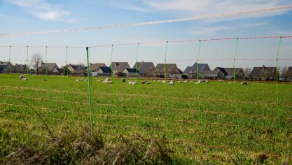 Sinds mensenheugenis dient een omheining niet om er alle mogelijke dieren mee   buiten te houden.