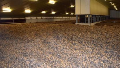 Er werd in totaal 233.459 ton aardappelen aangeboden voor vergoeding. De gemiddelde aanvraag had betrekking op 544 ton.