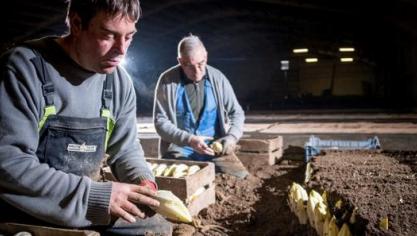 De cursus combineert de teeltervaring van oud-telers met de laatste bevindingen uit het onderzoek.