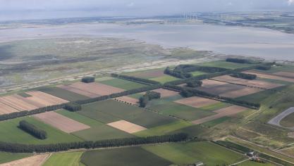 Landbouwvelden in de Hertogin Hedwigepolder in 2014, dit beeld is intussen voltooid verleden tijd.