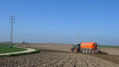De aardappelteelt in ons land, die zo belangrijk is, scoort helaas slecht wat betreft  het nitraatresidu op het einde van het teeltseizoen.