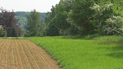 Via demonstratieprojecten wil Vlaams minister Hilde Crevits landbouwers sensibiliseren rond toepassingen van investeringen voor natuur en klimaat.