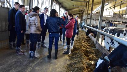 Het ILVO beschikt onder meer over een melkveestal waar innovatieve technieken uitgebreid worden getest.