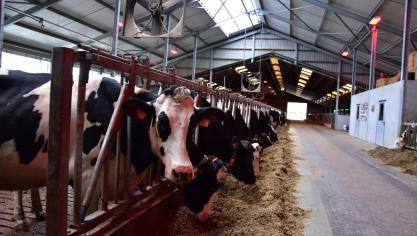 Elke individuele veehouderij zal bij een vergunningsaanvraag moeten aantonen dat ze geen significante negatieve impact op de beschermde natuur heeft.