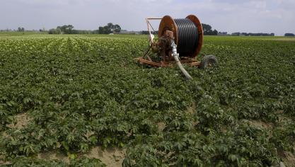 De land- en tuinbouw liep door de grote droogte in 2020 veel schade op.