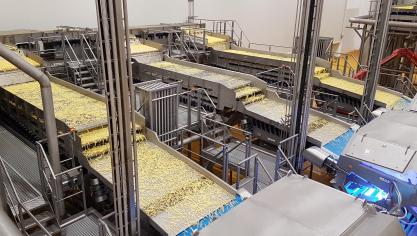 In vergelijking met 2019 werden verleden jaar de helft meer diepvriesfrieten vanuit België naar Brazilië uitgevoerd.
