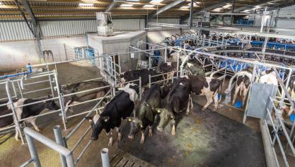 De E100 is een nieuwe draaimelkstal van Delaval.