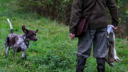 De vraag naar een centraal meldpunt komt van uit de sector zelf, want jagers voelen zich naar eigen zeggen alsmaar meer geviseerd door anti-jachtorganisaties en rabiate tegenstanders van wildbeheer, die soms driest te werk gaan.
