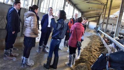 ILVO, dé Vlaamse instelling voor Landbouw-, Visserij- en Voedingsonderzoek, zet de komende jaren extra in op lage en prijsbewuste monitoringstechnieken voor luchtemissies bij stalsystemen.