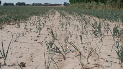 Garré geeft mee dat er doorheen de tijd meerdere periodes zijn met watertekort en droogte die elkaar opvolgen, en dat dat tekort over de jaren heen accumuleert.