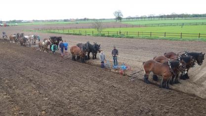 Het Aangespannen Trekpaard wil het Belgisch Trekpaard in stand houden door het gebruik ervan te stimuleren.