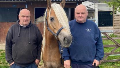 De gebroeders Nicolas en Christophe De Maerteleire genieten van hun Haflingers.