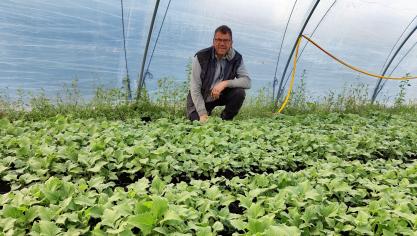 Leo kweekt plantjes in een serre om zo het seizoen te verlengen.