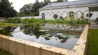 In de nieuwe infrastructuur van de Plantentuin is zo