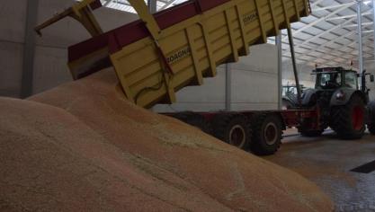 Fegra raadt af om granen op te slaan in loodsen waarin vroeger met CIPC behandelde aardappelen werden gestockeerd.