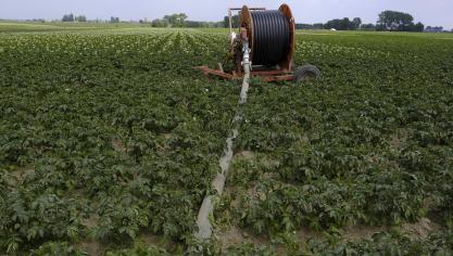 De effecten van de opeenvolgende periodes die werden gekenmerkt door extreme droogte zijn dus duidelijk zichtbaar. De aanvulling van het grondwater is afhankelijk van de neerslag en verdamping.