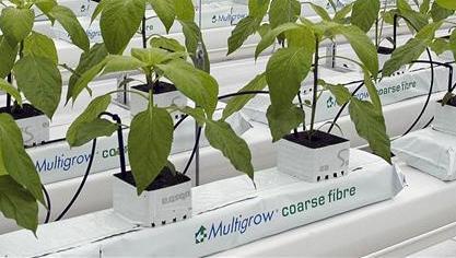 Multigrow is 1 van de producten van Benfried.