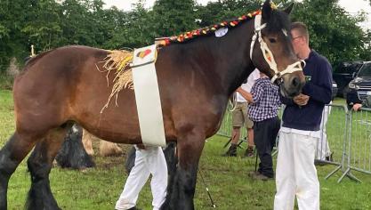 De 10-jarige Marine du Blanc Bois van Guido Vandecasteele uit Koekelare werd  dagkampioene in Torhout.