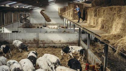 Om de kloof die vaak nog bestaat tussen consumenten en het productieproces achter hun dagelijkse voeding te verkleinen, worden binnen de reportage de verschillende schakels die deel uitmaken van de sector in beeld gebracht.
