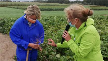 Vlaams landbouwminister Hilde Crevits zet meer middelen in op de realisatie van de Vlaamse eiwitstrategie.