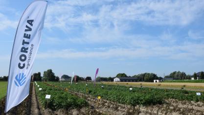 Corteva Agriscience en Symborg kondigden een meerjarige overeenkomst aan rond stikstoffixatie op basis van bacteriën.