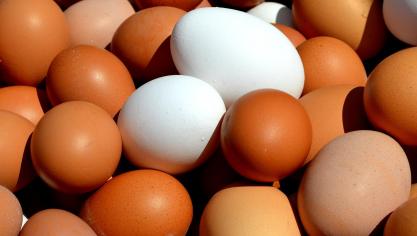 In 2020 werd 1.825 ton eieren, of 7,4% van de EU-invoer, uit Argentinië in de EU ingevoerd.