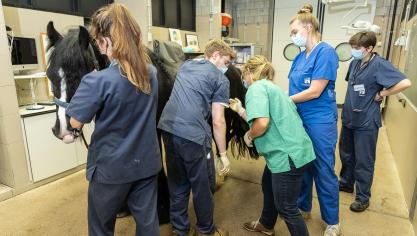 De permanente stijging van het aantal studenten zet de kwaliteit en zelfs de veiligheid van de opleiding onder druk. Minister Weyts introduceert daarom een toegangsexamen.