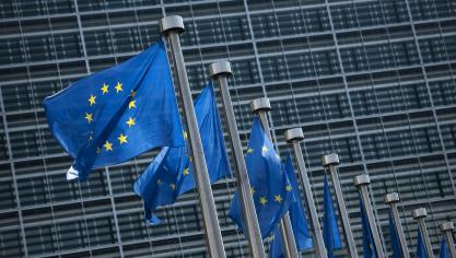 Het recente JRC-rapport toont belangrijke effecten van de farm-to-Fork (F2F) en de Biodiversiteitsstrategie op de Europese landbouwsector.