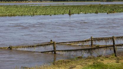 De overstromingen zorgden mogelijk voor contaminatie van velden en weiden. Dat moet geanalyseerd worden.
