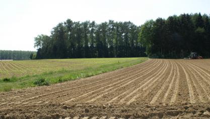 Nog te veel akkers hebben een ondergrond met te weinig organische stoffen en bacteriën, die water vasthouden.